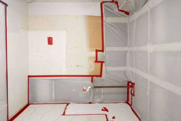 Best Industrial Mold Remediation  in Nebo, NC