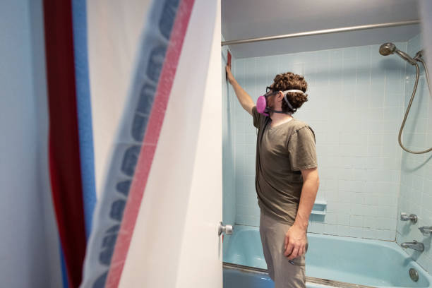 Best Water Damage & Mold Remediation  in Nebo, NC