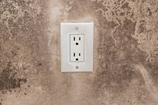 Best Residential Mold Inspection & Testing  in Nebo, NC